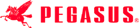 Pegasus.png